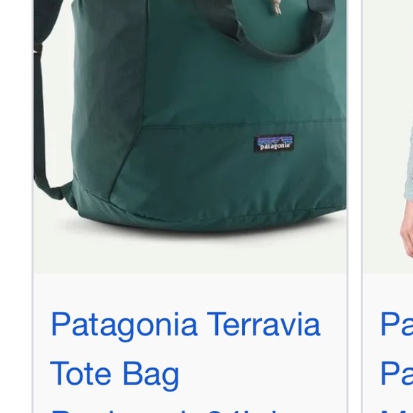 Patagonia Terravia Green and Gray Backpack - Picture 5 of 5